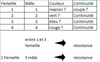 tableau mesures.jpg